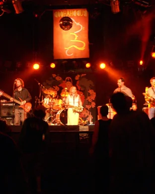 Live concert by But Baby I Love You