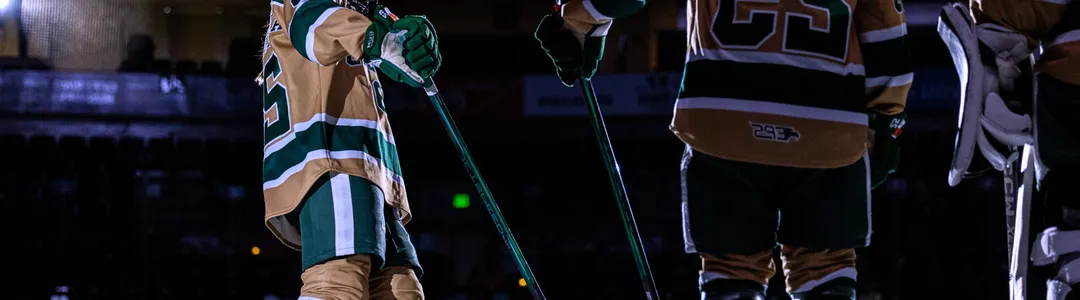 Bemidji State Beavers Women's Hockey