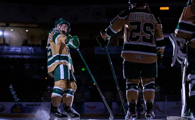 Bemidji State Beavers Women's Hockey