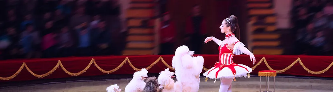 Moolah Shrine Circus