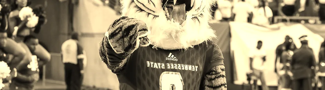 Tennessee State Tigers