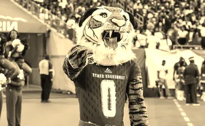 Tennessee State Tigers