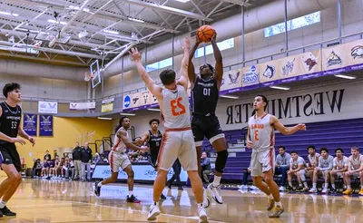 Westminster College Griffins Basketball