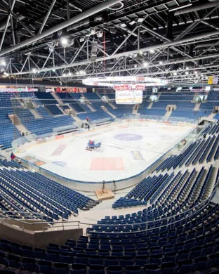 Lindenwood Lions Women's Hockey Maryland Heights